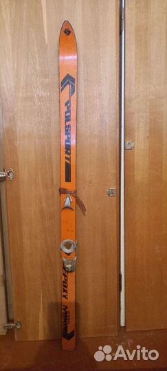 Горные лыжи