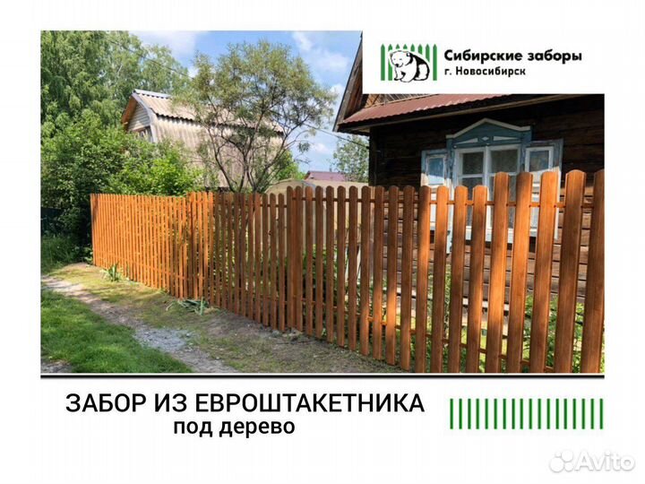 Забор евроштакетник под дерево