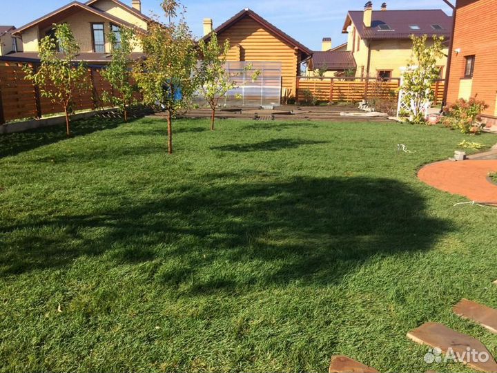 Рулонный газон с укладкой и гарантией