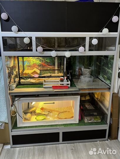 Стеллаж террариум