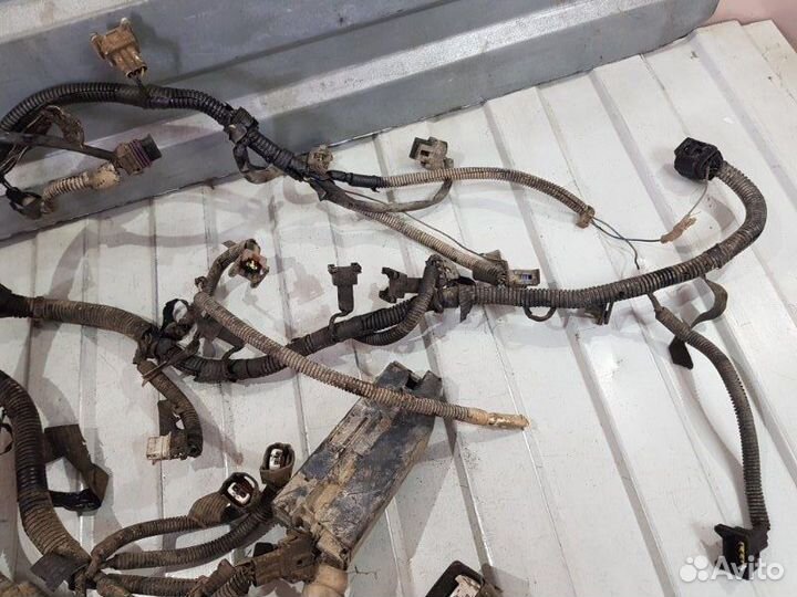 Проводка двс Chevrolet Lacetti J200 F14D3 2008