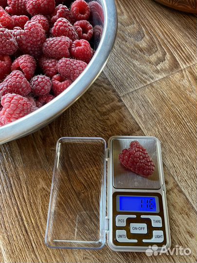 Малина Пшехиба,Маравилла,Амира,Делнива,Соколица