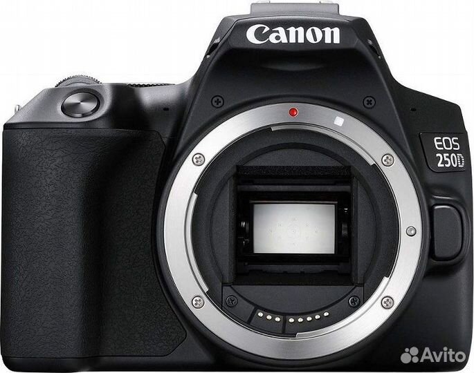 Фотоаппарат Canon EOS 250D Body Black