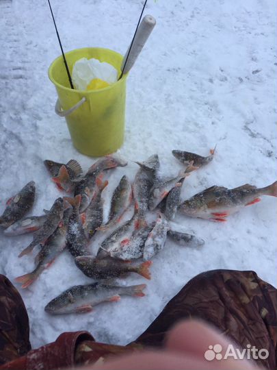 Зимняя блесна ручной работы маропедка