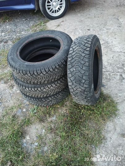 Tunga Nordway 65/11.5 R15
