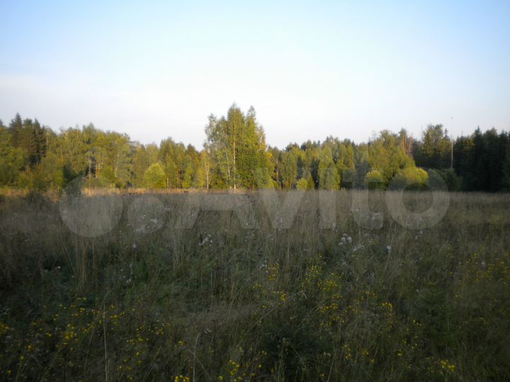 Участок 10 сот. (СНТ, ДНП)