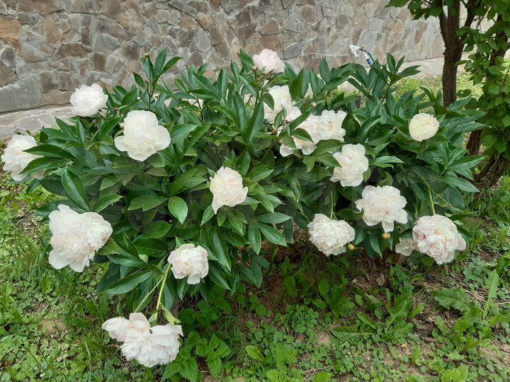 Дом 253 м² на участке 15 сот.