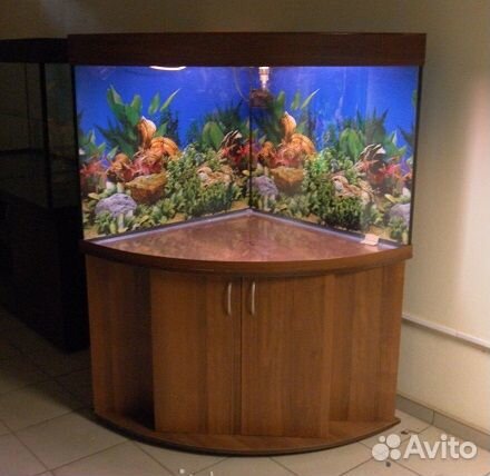 Аквариум 250 свет биофильтр фон подставка