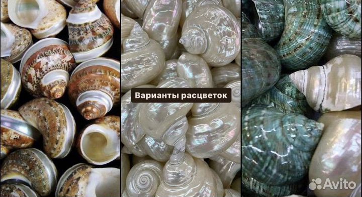 Бокалы ракушки перламутровые, ручной работы
