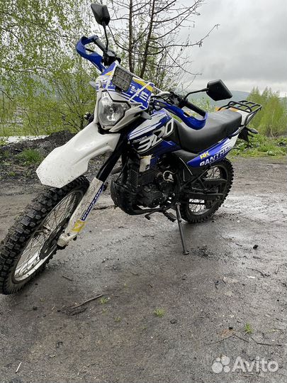 Рейсер пантера 300