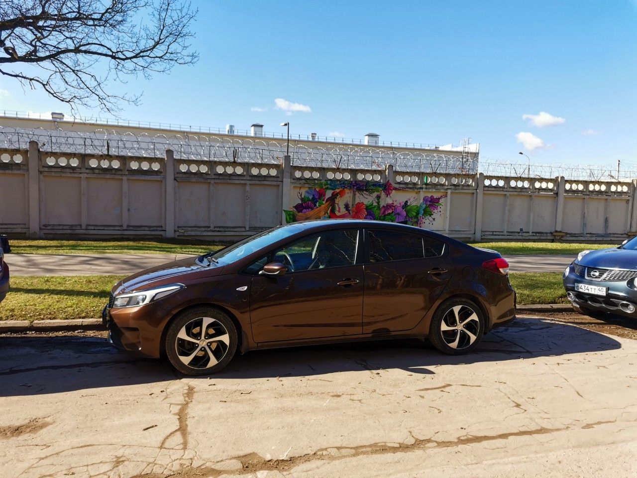 Kia Cerato: фото владельца