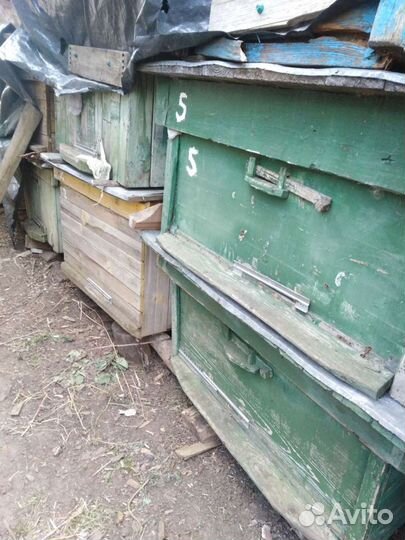 Ульи для пчел