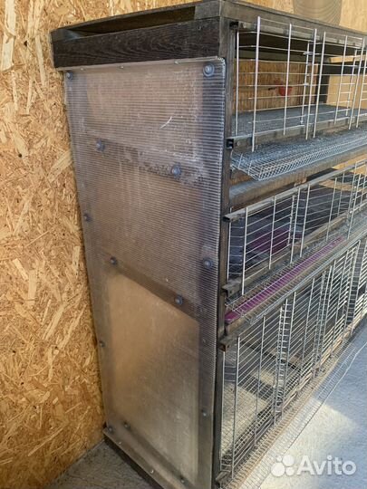 Клетка для перепелов и кур (переносная)