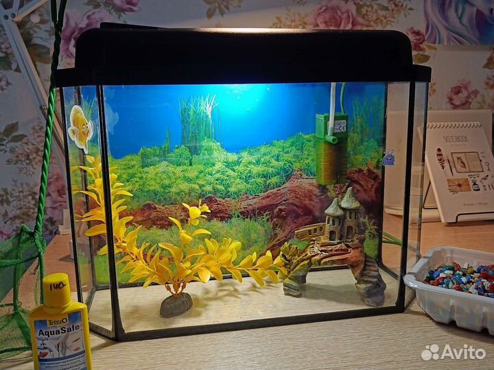 Аквариум