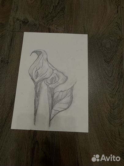 Академический рисунок