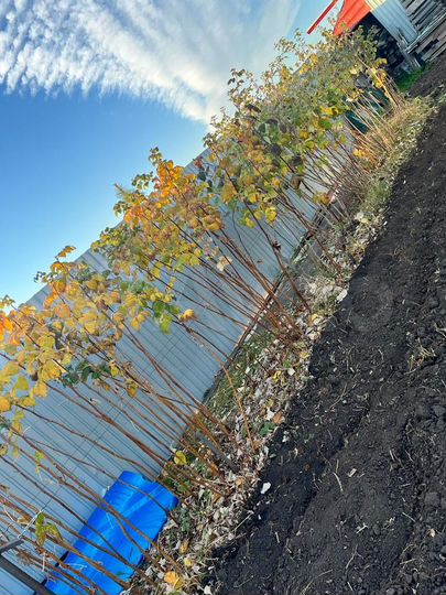 Дом 120 м² на участке 17,8 сот.