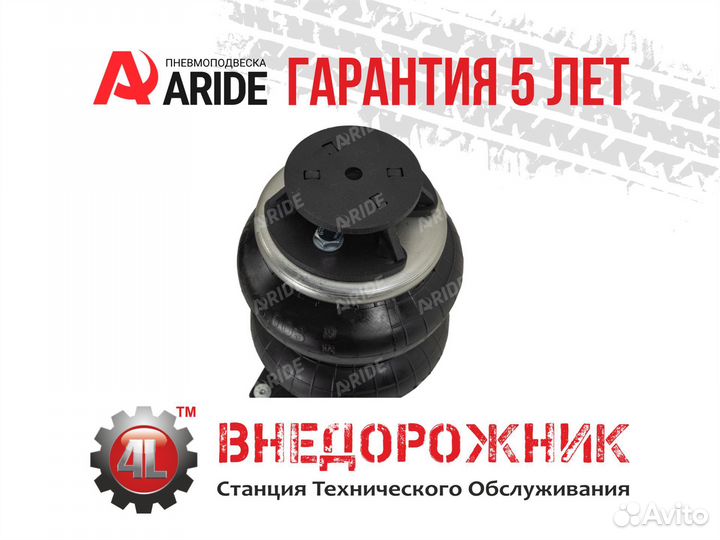 Пневмоподвеска Renault Master FWD X62 (10), задняя