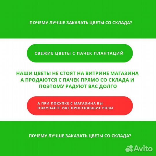 Букет 101 красно-белая роза эквадор на 8 марта