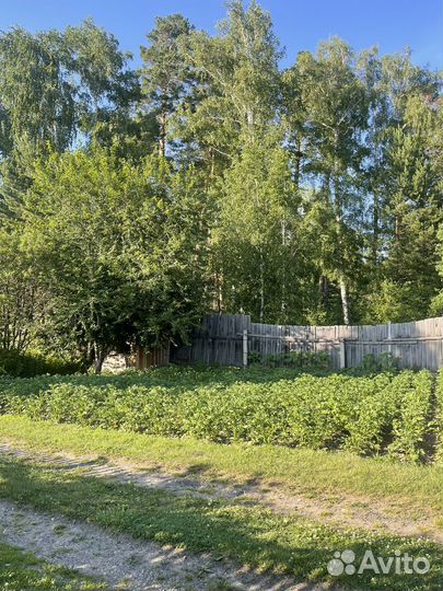 Отдых за городом