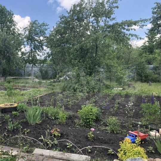 Дача 20 м² на участке 25 сот.