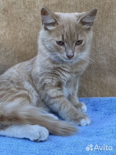 Солнышко ищет семью