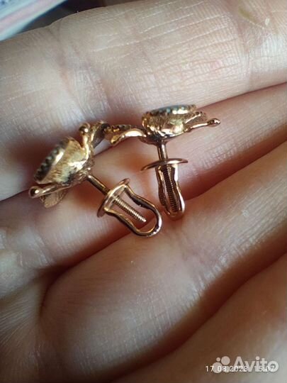 Пуссеты СССР Незабудки