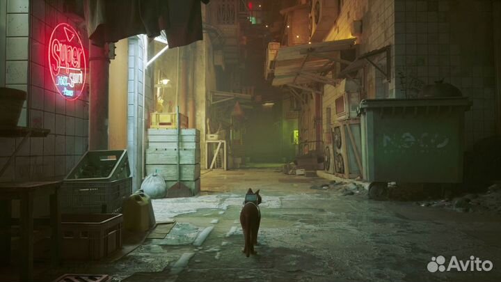 Stray (PS4)