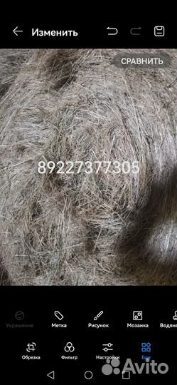 Корм для скота