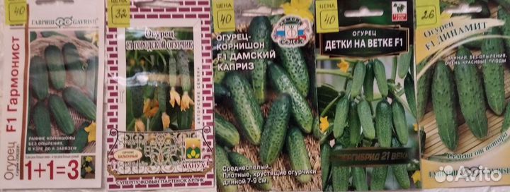 Семена огурцов