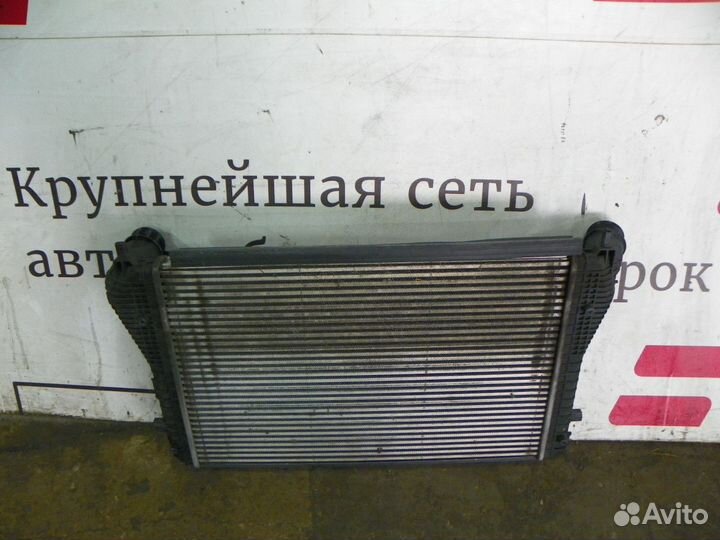 Интеркулер Skoda Octavia