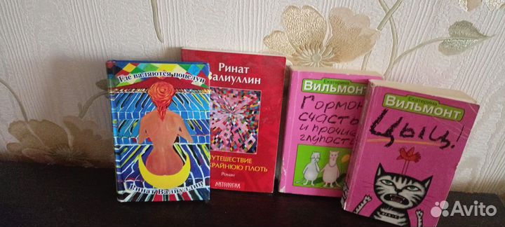 Екатерина Вильмонт и Ринат Валиуллин. Книги