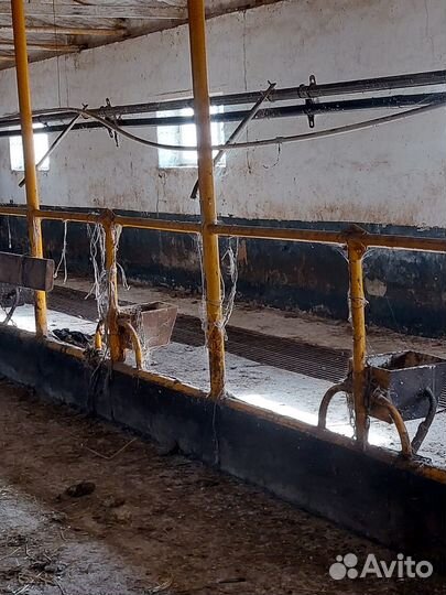 Доильный зал