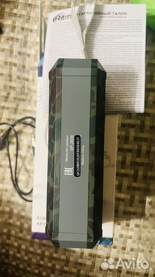 Акустическая колонка Ritmix