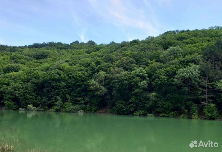 Такси Крым ж/д вокзал, Экскурсовод водитель