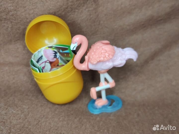 Киндер натунс