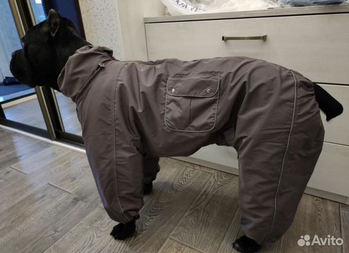 Дождевики и демесизон одежда для собак