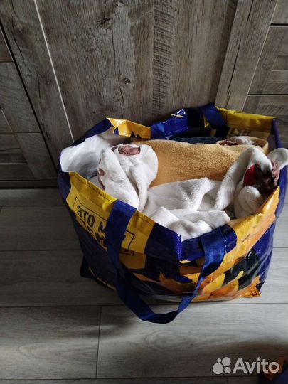 Детские вещи пакетом для девочек