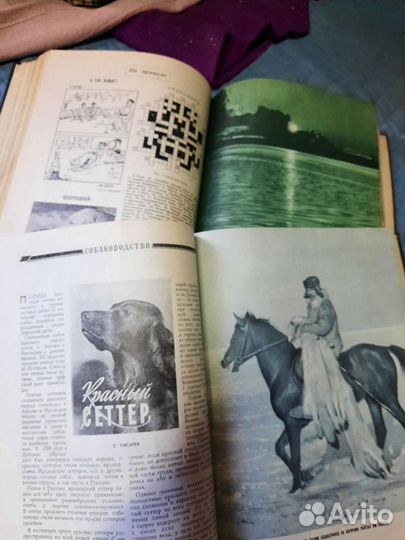 Журнал Охота и ох.хоз-во за весь 1956 г. люкс