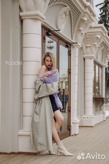 Радужная гипсофила