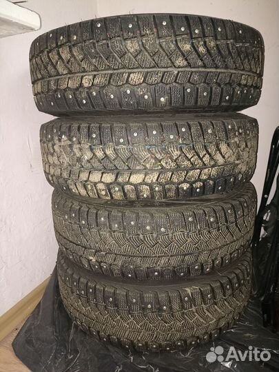 Viatti Bosco Nordico V-523 185/65 R15