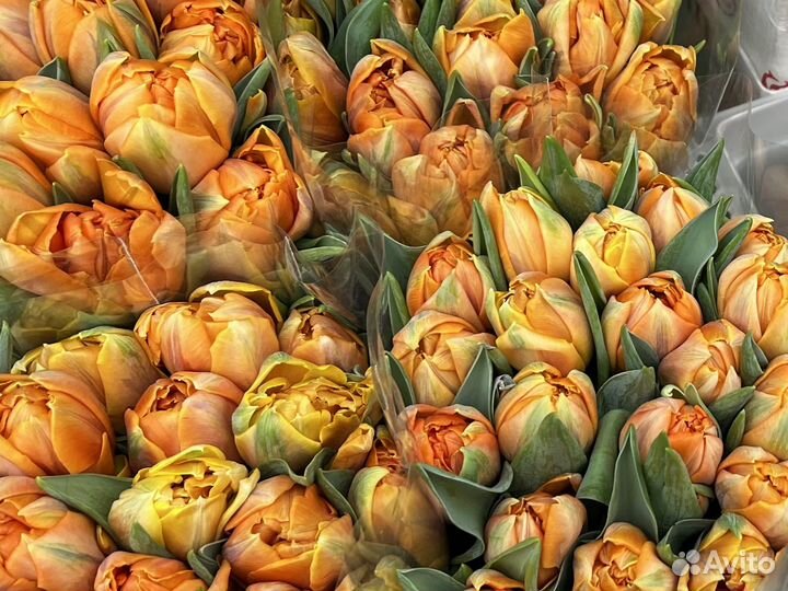 Тюльпаны ростов доставка цветов