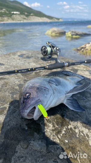 Булер для морской рыбалки