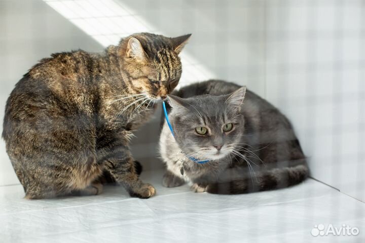 У Лоры осталось меньше недели