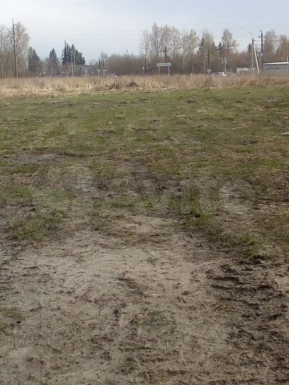 Участок 6 сот. (ИЖС)