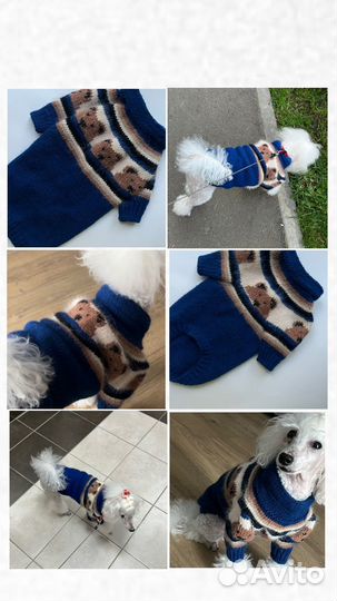 Одежда для собак мелких пород