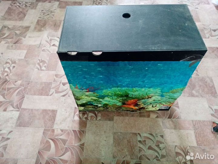 Аквариум