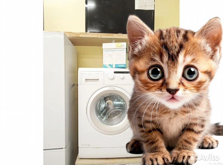 Стиральная машина Whirlpool 5кг. Гарантия 1 год