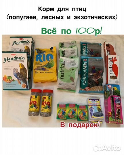 Корм, вкусняшки и аксессуары для птиц