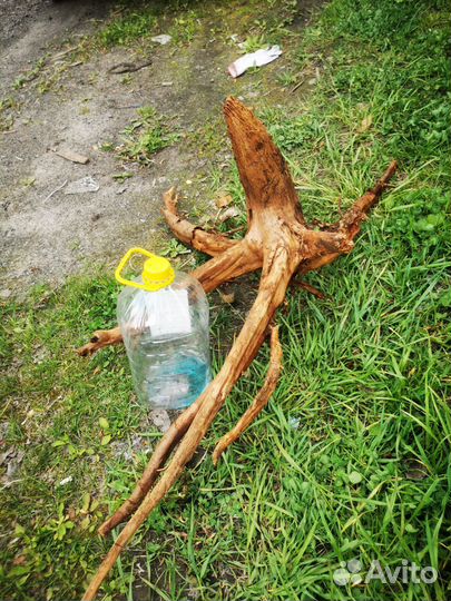 Коряга для аквариума