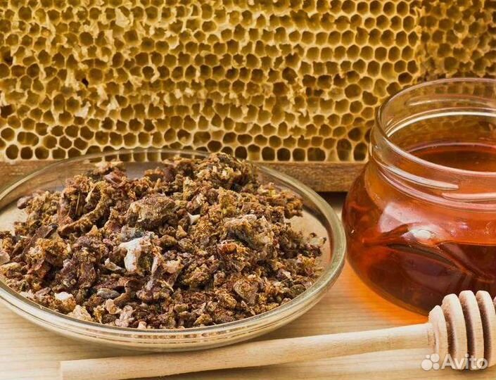 Прополис пчелиный
